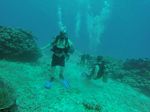 Hawaii Scuba divng 78