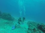 Hawaii Scuba divng 94