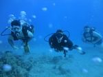 Oahu scuba 100