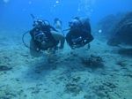 Oahu scuba 11