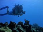 Oahu scuba 16