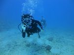 Oahu scuba 18