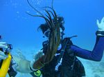 Oahu scuba 02