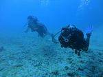 Oahu scuba 10