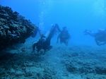 Oahu scuba 86