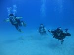 Oahu scuba 96