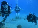 Oahu scuba 98