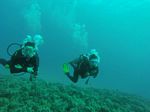 Hawaii Scuba divng 12