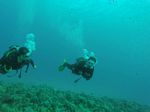 Hawaii Scuba divng 13