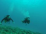 Hawaii Scuba divng 14