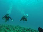 Hawaii Scuba divng 15