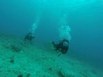 Hawaii Scuba divng 16