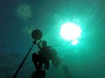 Hawaii Scuba divng 17