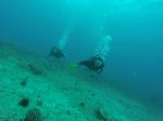 Hawaii Scuba divng 19