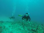 Hawaii Scuba divng 22