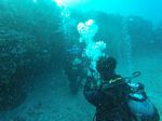 Hawaii Scuba divng 24