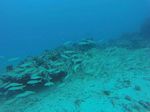 Hawaii Scuba divng 34