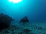 Hawaii Scuba divng 35