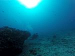 Hawaii Scuba divng 36