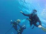 Hawaii Scuba divng 41