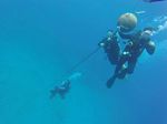 Hawaii Scuba divng 42