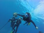 Hawaii Scuba divng 43