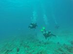 Hawaii Scuba divng 53