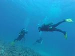 Hawaii Scuba divng 59