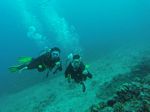 Hawaii Scuba divng 05