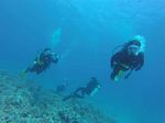 Hawaii Scuba divng 60