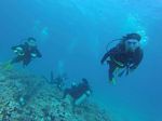 Hawaii Scuba divng 62