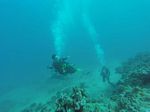 Hawaii Scuba divng 66