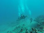 Hawaii Scuba divng 67