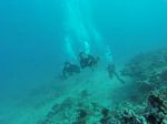 Hawaii Scuba divng 68