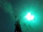 Hawaii Scuba divng 06