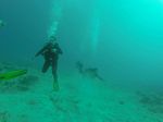 Hawaii Scuba divng 76