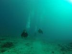 Hawaii Scuba divng 77