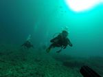 Hawaii Scuba divng 80