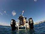 Hawaii Scuba divng 83