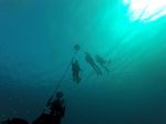 Hawaii Scuba divng 91