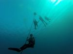 Hawaii Scuba divng 92