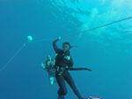 Hawaii Scuba divng 12