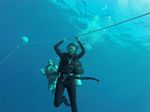 Hawaii Scuba divng 13