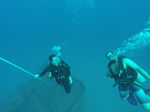 Hawaii Scuba divng 16