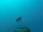 Hawaii Scuba divng 23