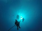 Hawaii Scuba divng 03