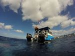 Hawaii Scuba divng 41