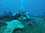 Hawaii Scuba divng 46