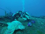 Hawaii Scuba divng 47