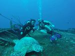 Hawaii Scuba divng 48